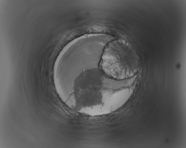 X0000115661009200912241354