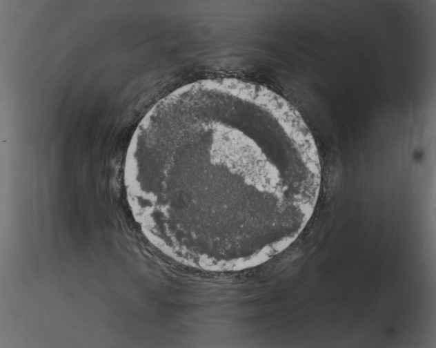 X0000115661010200912241354