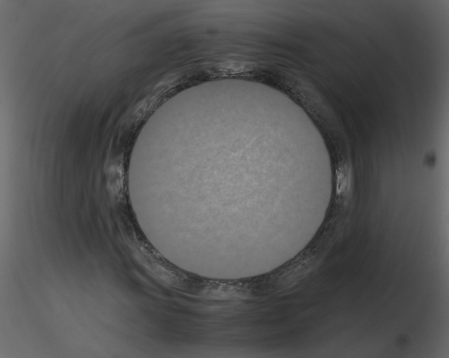 X0000115661011200912241354