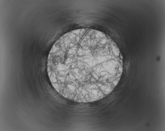 X0000115661012200912241354