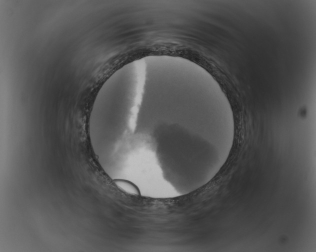 X0000115661013200912241354