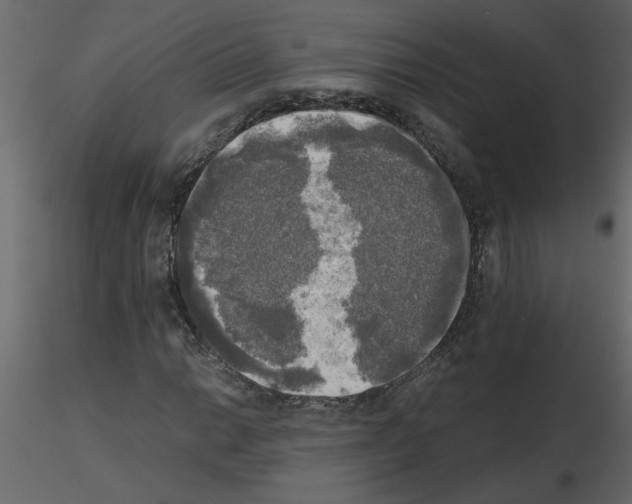 X0000115661014200912241354