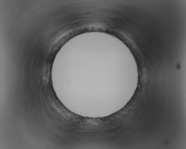 X0000115661015200912241354