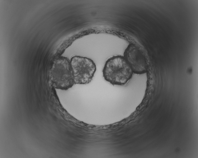 X0000115661016200912241354