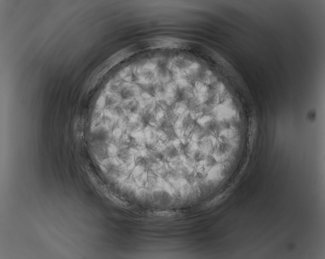 X0000115661017200912241354