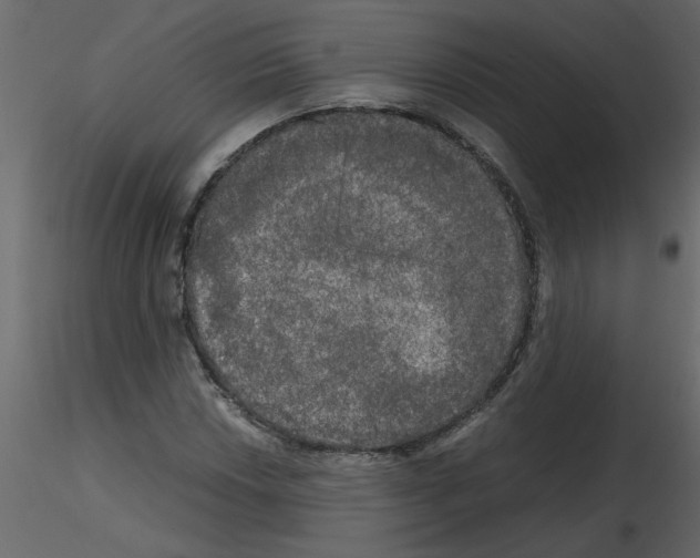 X0000115661018200912241354