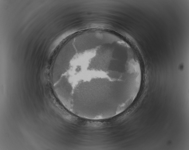 X0000115661019200912241354