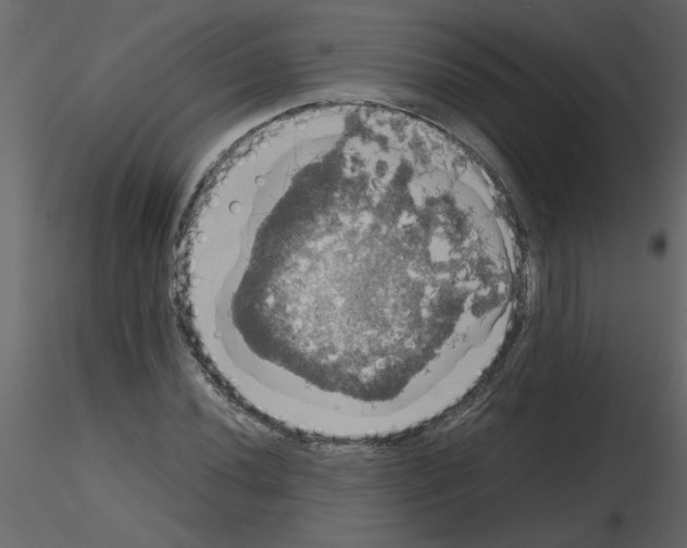 X0000115661020200912241354