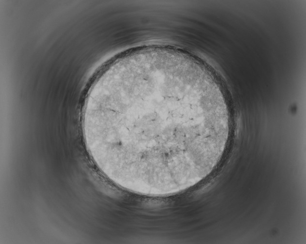 X0000115661021200912241354