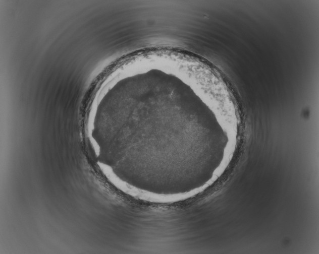 X0000115661022200912241354