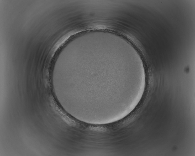 X0000115661023200912241354