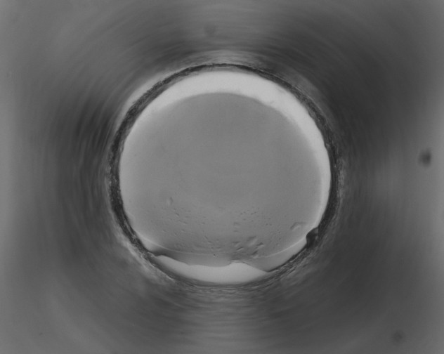 X0000115661024200912241354