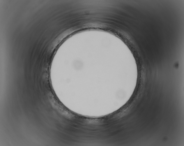 X0000115661025200912241354