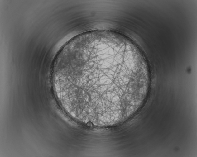 X0000115661026200912241354