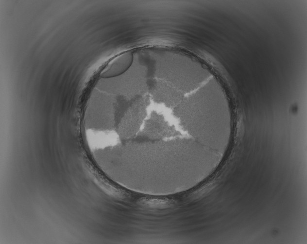 X0000115661027200912241354