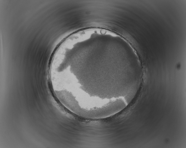 X0000115661028200912241354