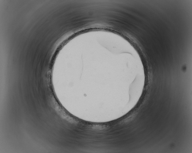 X0000115661029200912241354