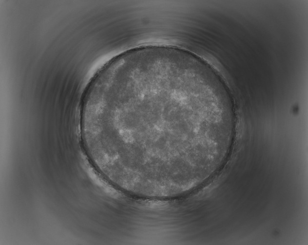 X0000115661030200912241354