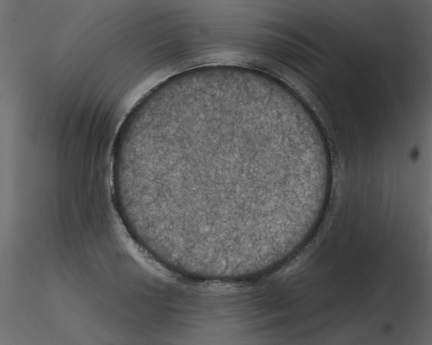 X0000115661034200912241354