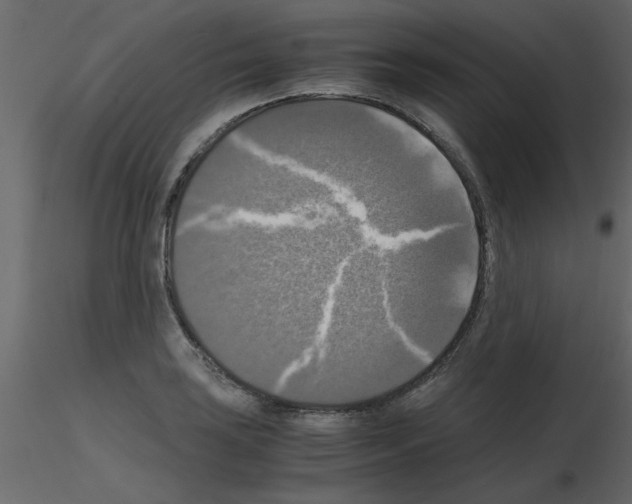 X0000115661035200912241354