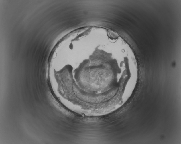 X0000115661036200912241354