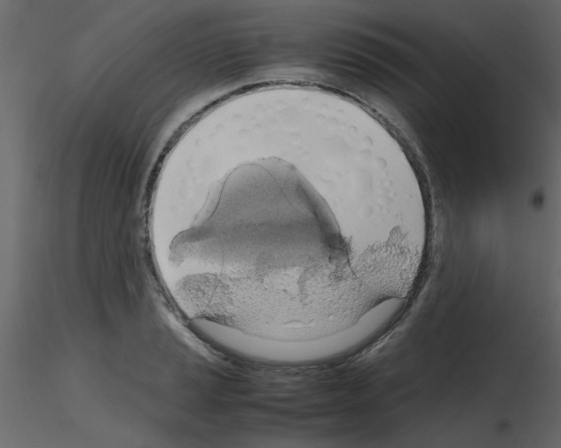 X0000115661037200912241354