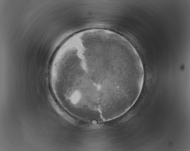 X0000115661038200912241354