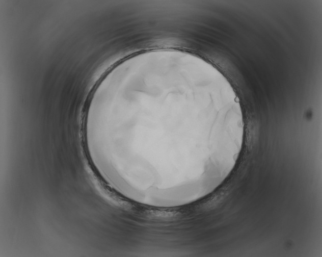 X0000115661039200912241354