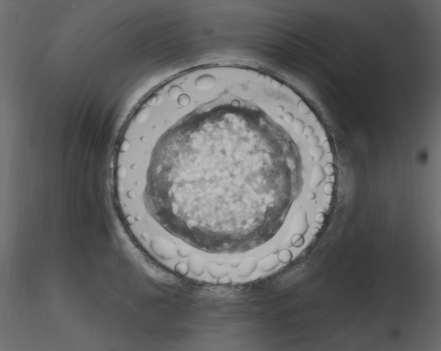 X0000115661040200912241354