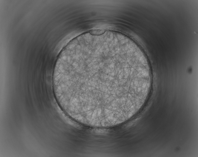 X0000115661041200912241354