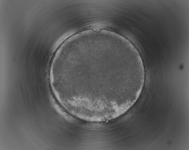 X0000115661042200912241354