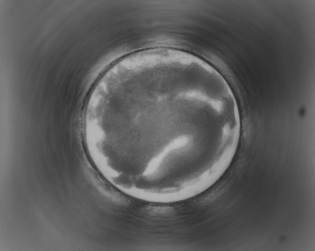 X0000115661043200912241354