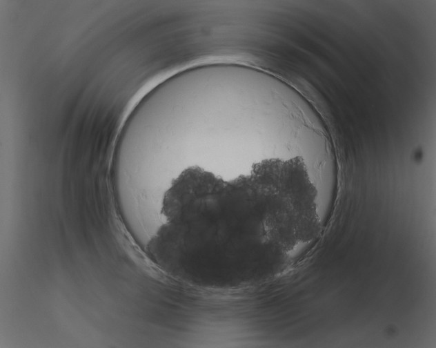 X0000115661044200912241354