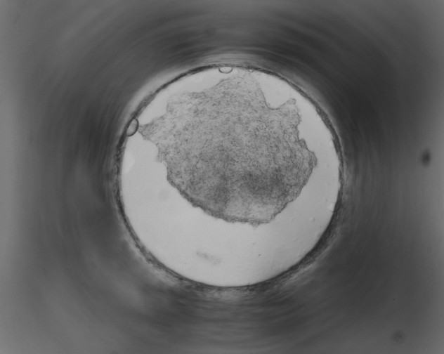 X0000115661045200912241354