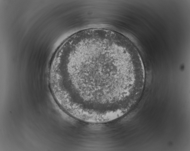 X0000115661046200912241355