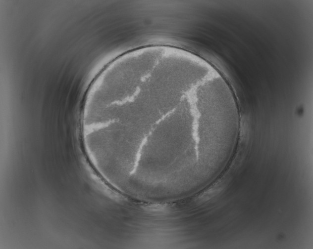 X0000115661048200912241355