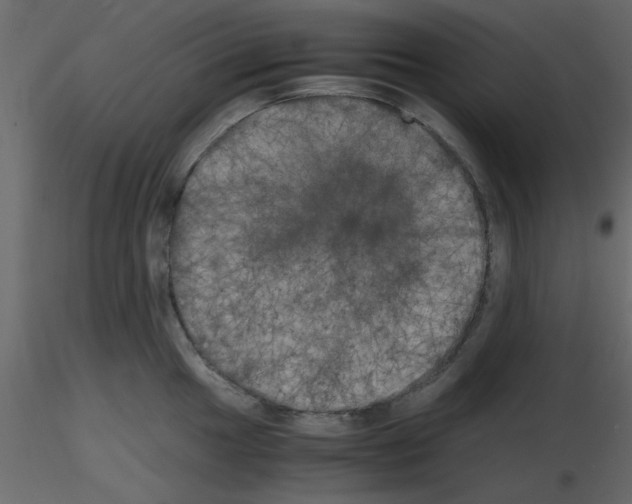 X0000115661049200912241355