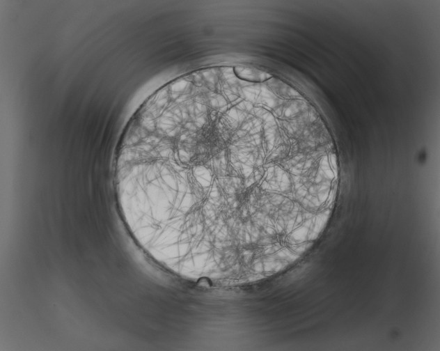 X0000115661050200912241355