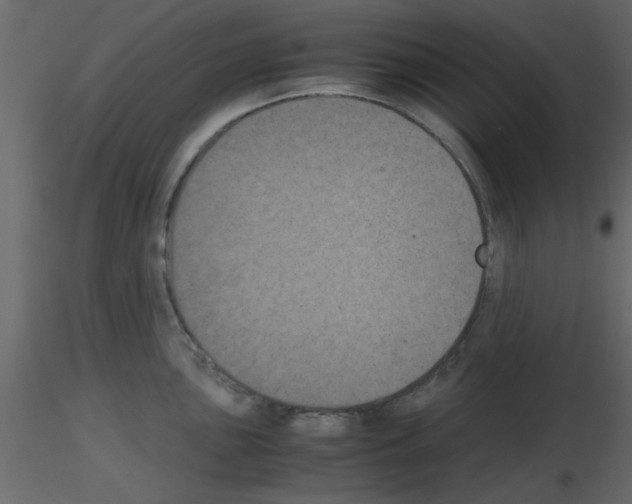 X0000115661051200912241355