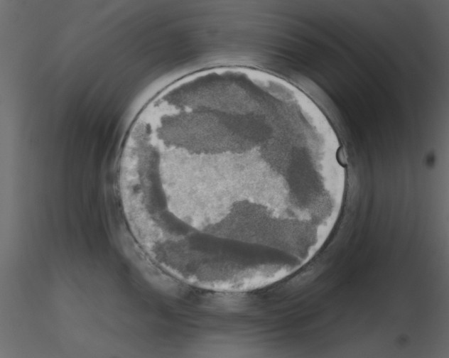 X0000115661052200912241355