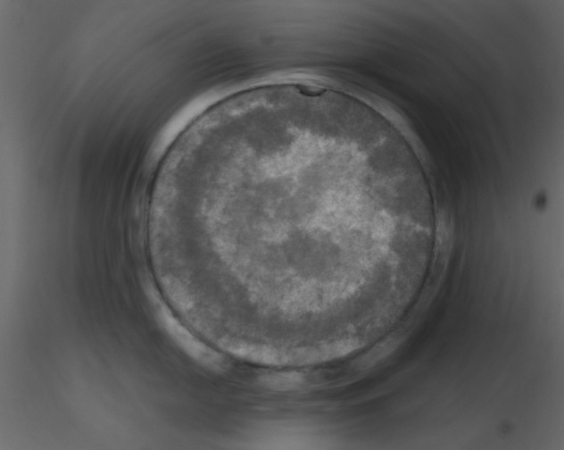 X0000115661054200912241355