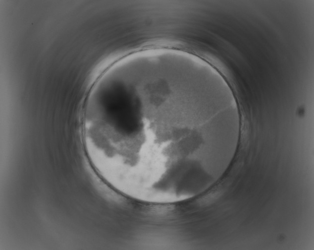 X0000115661055200912241355