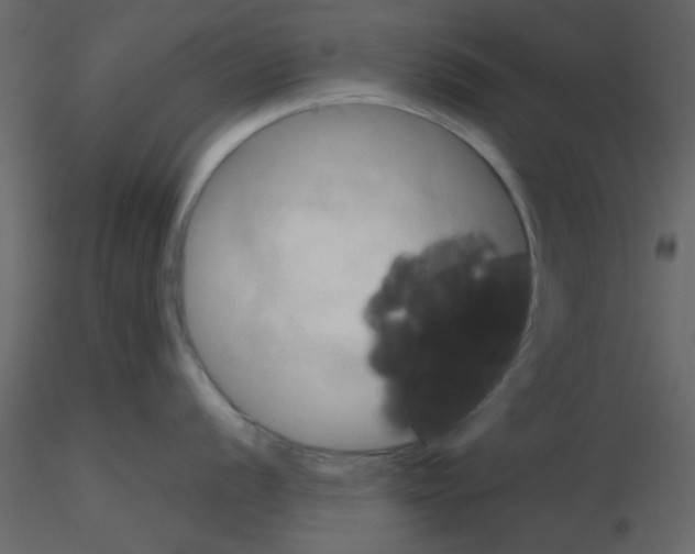 X0000115661056200912241355