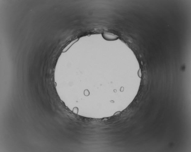 X0000115661057200912241354