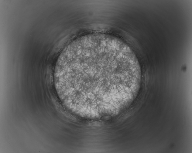 X0000115661058200912241354