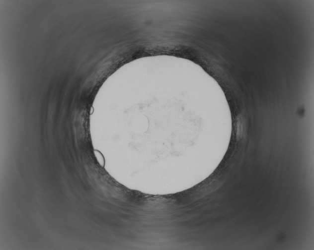 X0000115661059200912241354