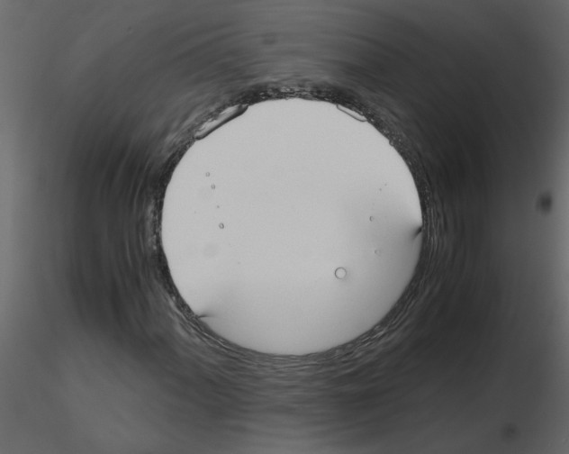 X0000115661060200912241354