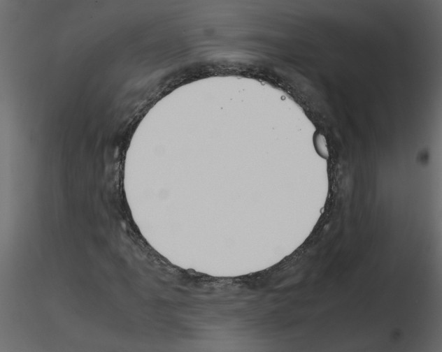 X0000115661061200912241354