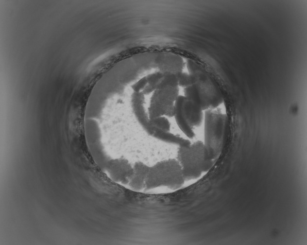 X0000115661063200912241354