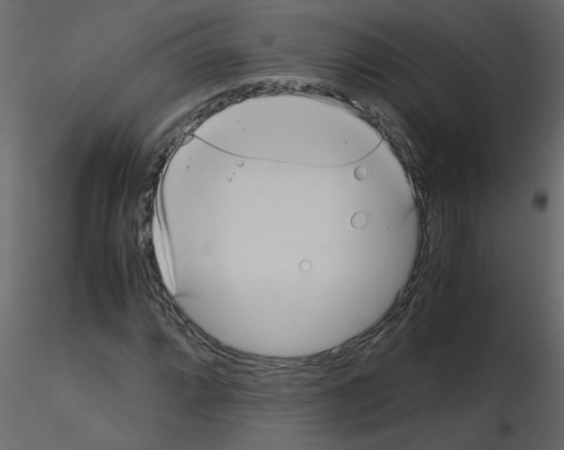 X0000115661064200912241354